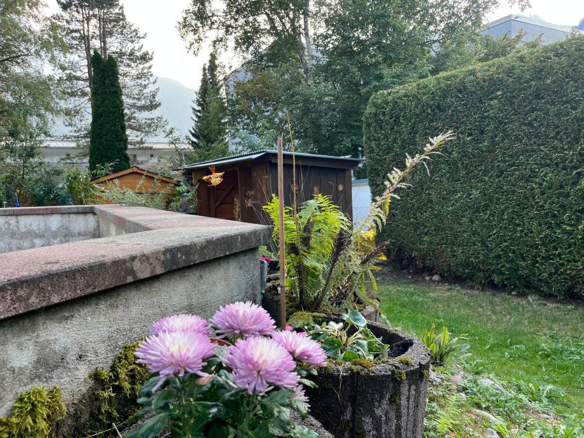 奥巴拉马高Alpina Haus公寓 外观 照片